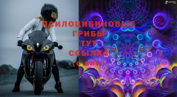 ГАЛЛЮЦИНОГЕННЫЕ ГРИБЫ Абинск