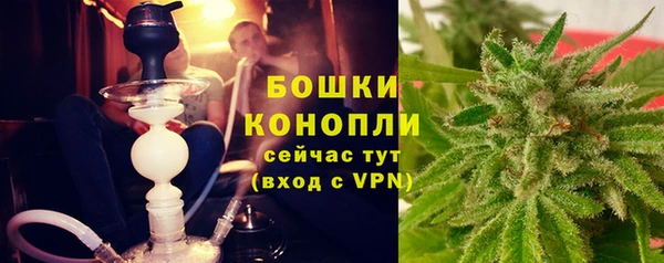 прущие грибы Абдулино