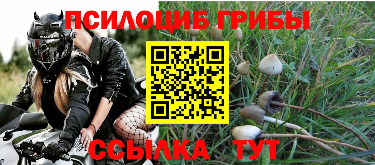 Галлюциногенные грибы мицелий Грозный
