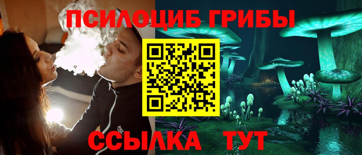 Псилоцибиновые грибы Cubensis  Псилоцибиновые грибы MAGIC MUSHROOMS  Грозный  Вход с VPN 